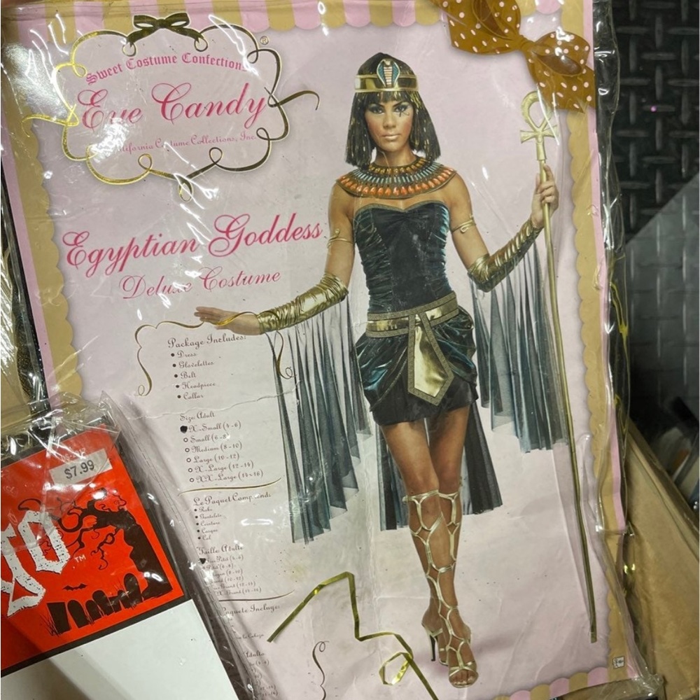 Egyptian goddess costume